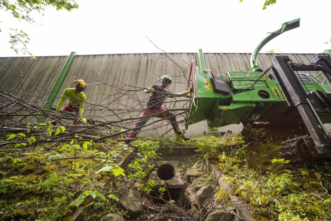 Häcksler auf Raupenfahrwerk mit Niveauausgleich