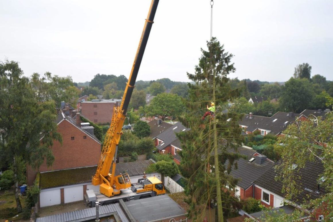 Kranfällung in Oldenburg