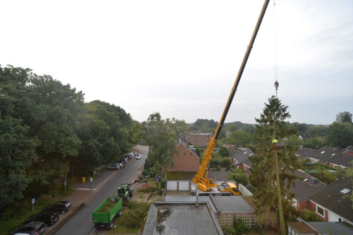 Kranfällung in Oldenburg