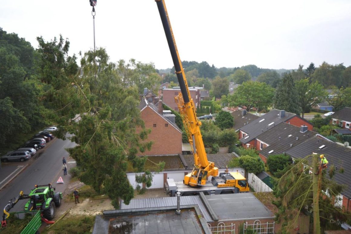 Kranfällung in Oldenburg