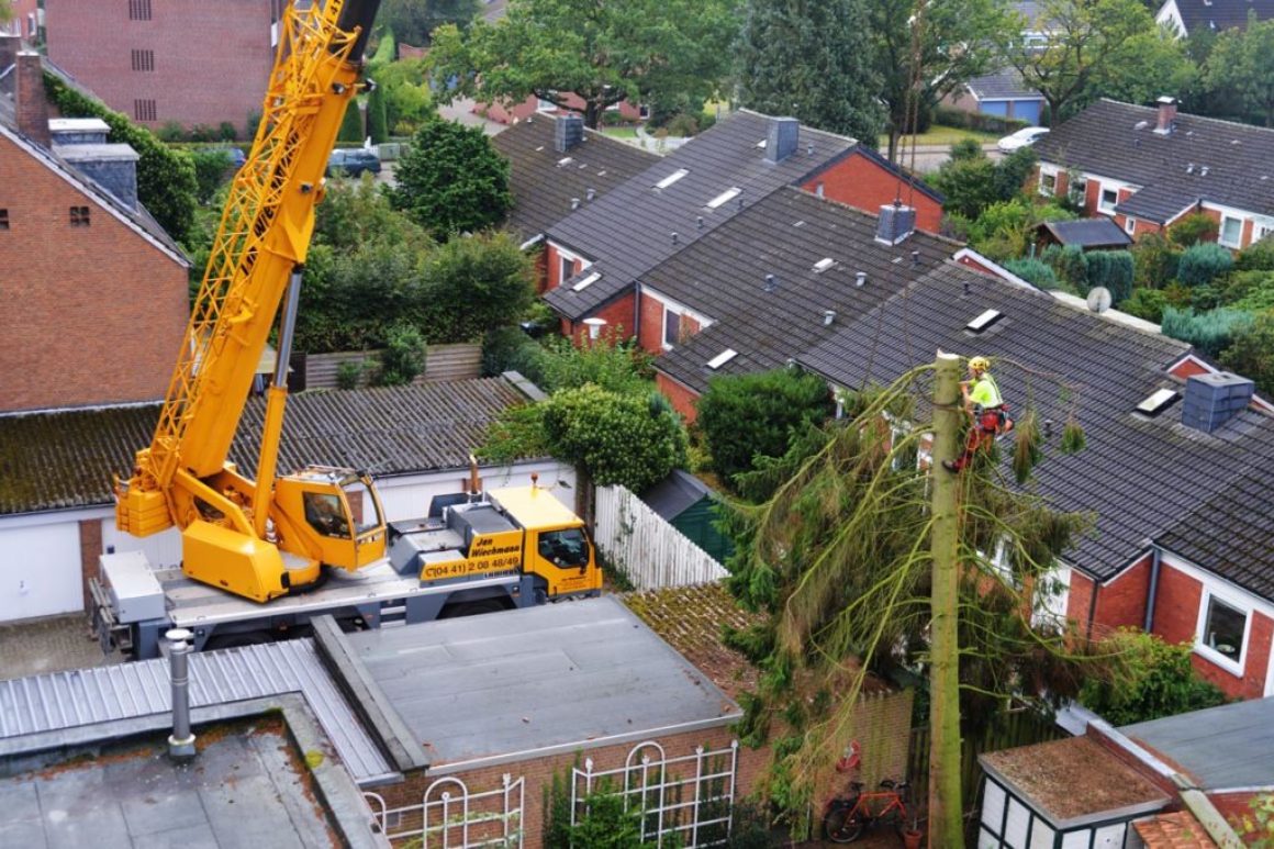 Kranfällung in Oldenburg