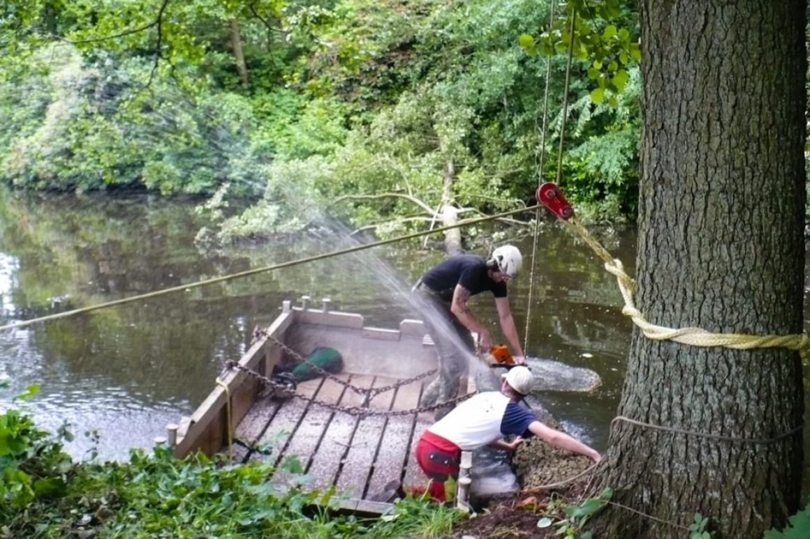 Spezialfällung im Oldenburger Schlossgarten