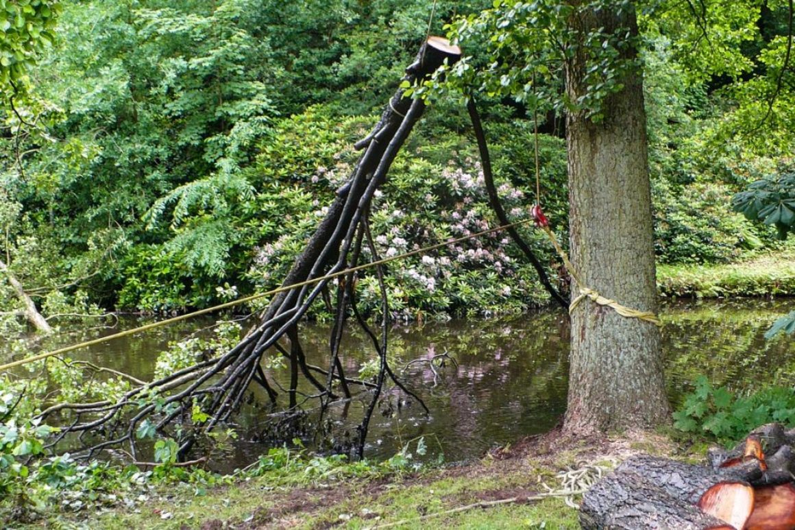 Spezialfällung im Oldenburger Schlossgarten