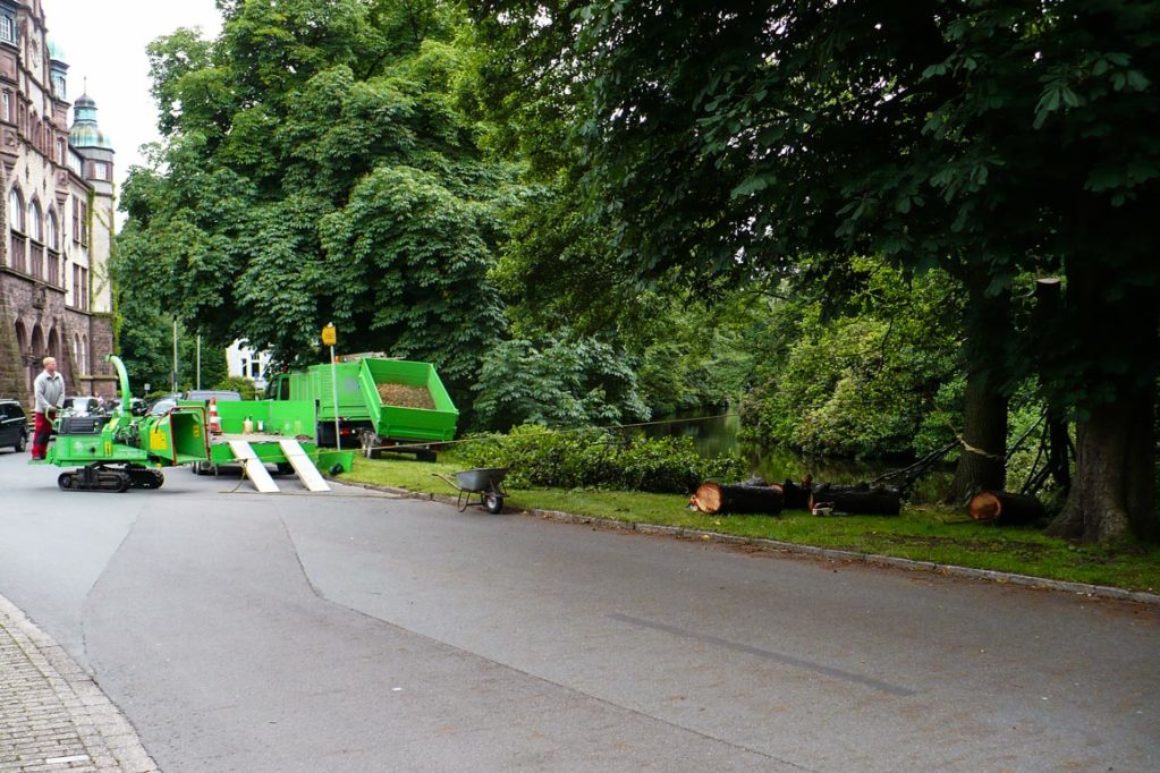 Spezialfällung im Oldenburger Schlossgarten