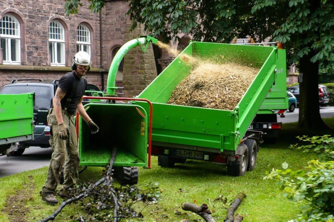 Spezialfällung im Oldenburger Schlossgarten