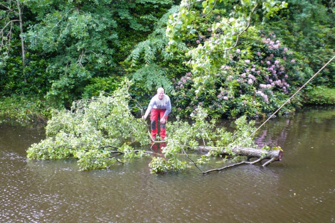 Spezialfällung im Oldenburger Schlossgarten