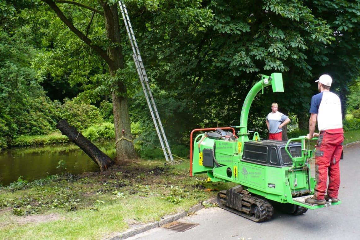 Spezialfällung im Oldenburger Schlossgarten