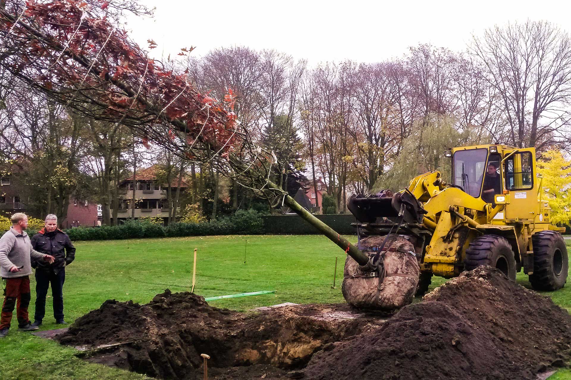 Die richtige Baumpflanzung ist die beste Grundlage